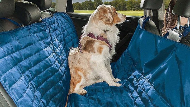 DOG CAR HAMMOCK FOR BUCKET SEATS