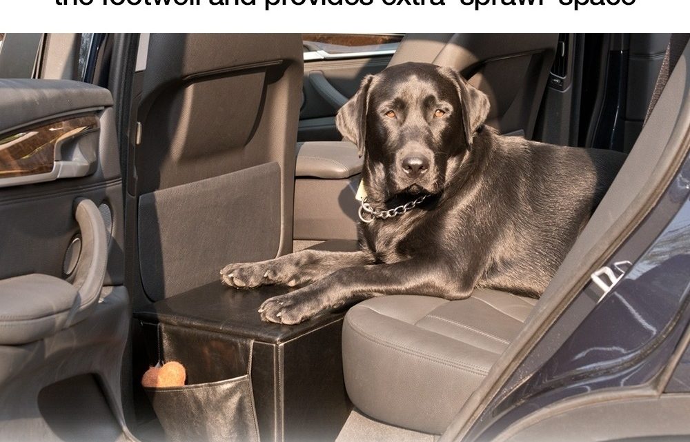 BACKSEAT EXTENDER FOR DOGS WITH STORAGE