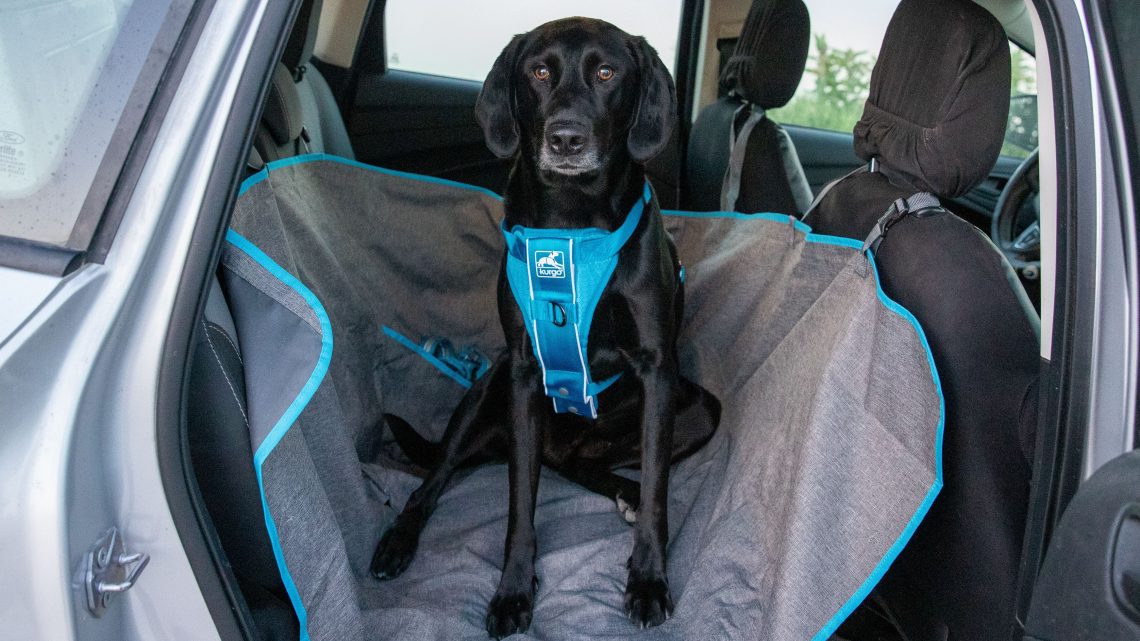 Best Dog Car Hammock, Half Seat or Single Seat