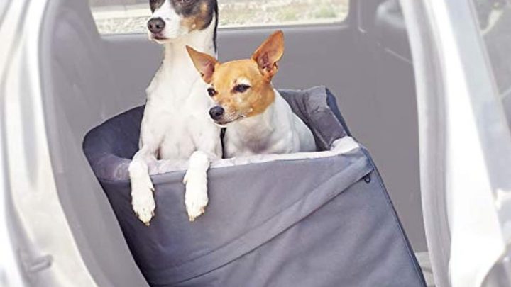 DOG CAR SEAT FOR TWO DOGS