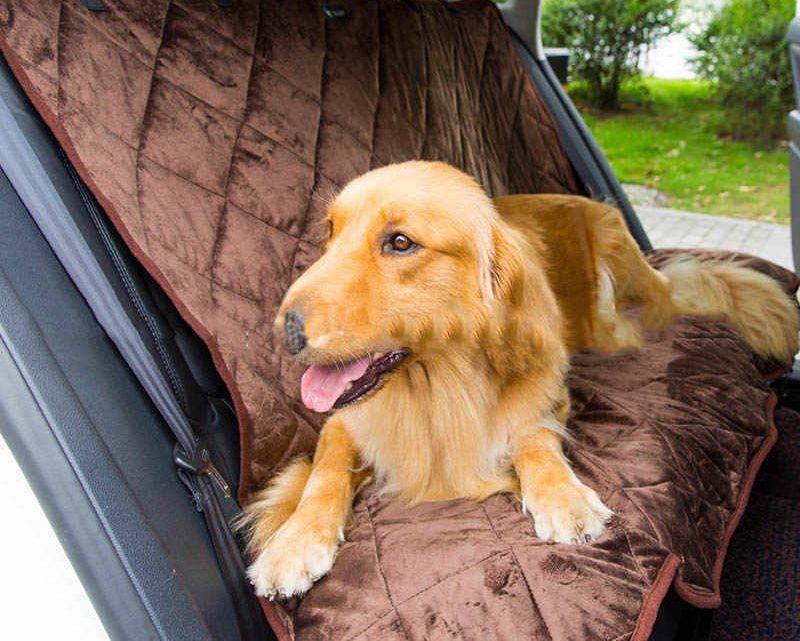 BEST TWO SEATER DOG CAR SEAT