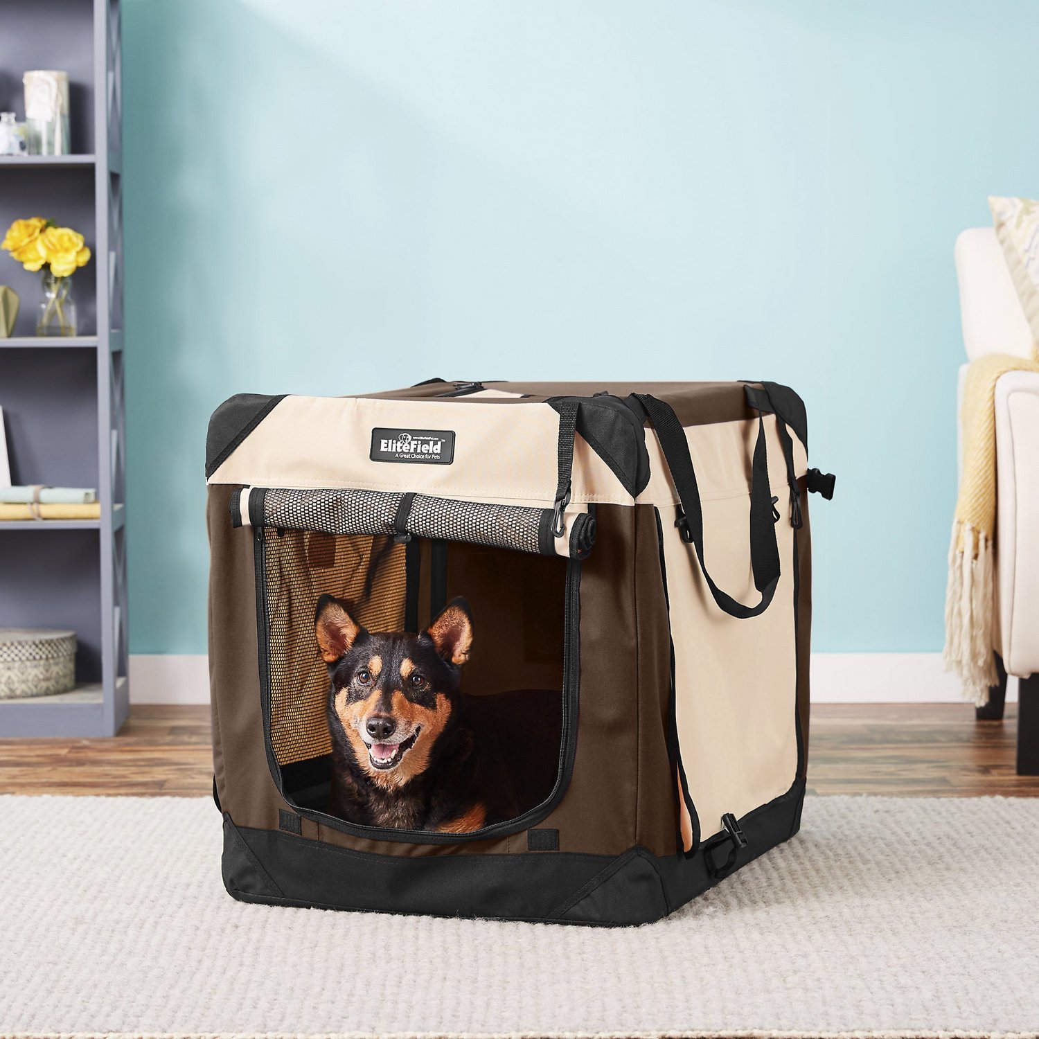 dog travel crate labrador