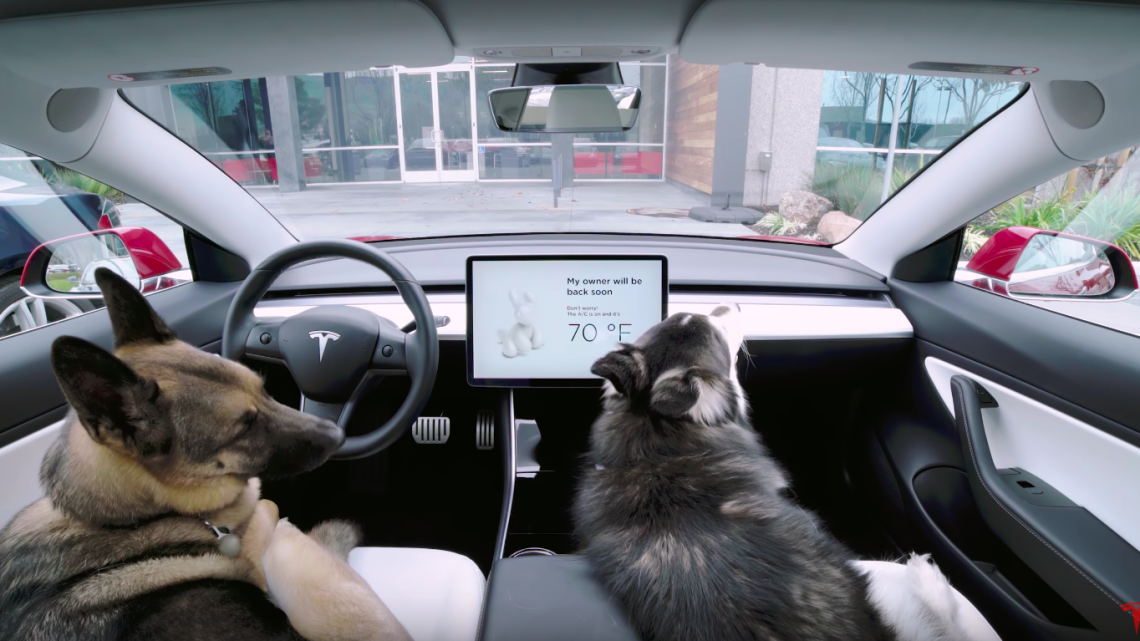 Tesla Model 3 Dog Accessories Every Dog Owner Should Have